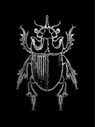 24 x 32 Historia Insectorum Generalis IV (GS)