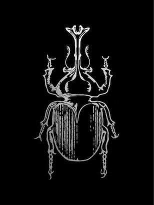 24 x 32 Historia Insectorum Generalis VI (GS)
