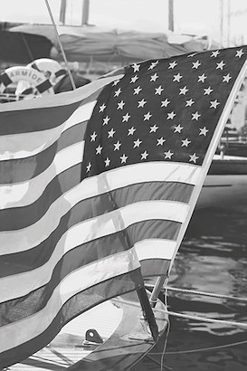 24 x 36 Land of the Free (IBG)