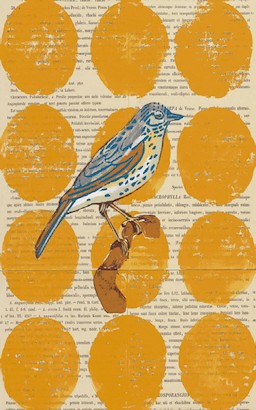 24 x 32 Bird Study I (IBG)
