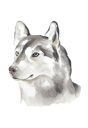 24 x 35 Lovely Friend I (IBG)