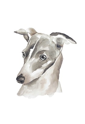 24 x 35 Lovely Friend II (IBG)