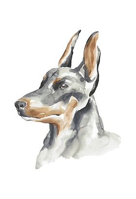 24 x 35 Lovely Friend IV (IBG)