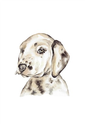 24 x 35 Lovely Friend V (IBG)