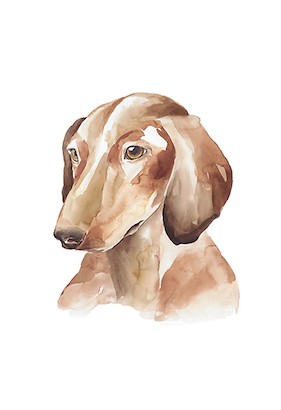 24 x 35 Lovely Friend VII (IBG)