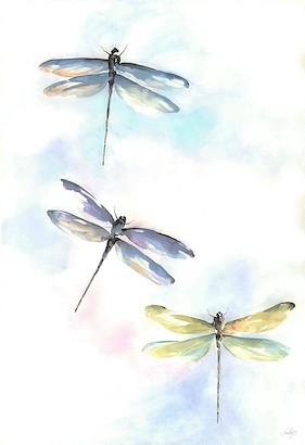 24 x 35 Colorful Flying I (IBG)