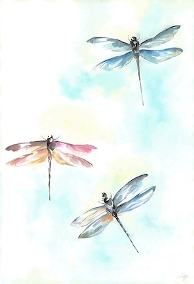 24 x 35 Colorful Flying II (IBG)