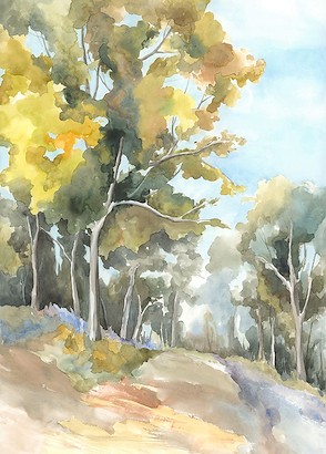 24 x 32 A Stroll through the Woods I (IBG)