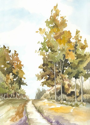 24 x 32 A Stroll through the Woods II (IBG)