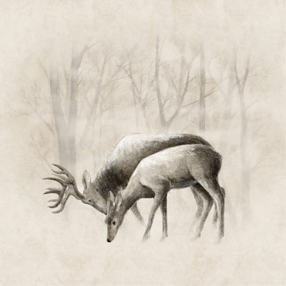 30 x 30 Misty Woods I (IBG)