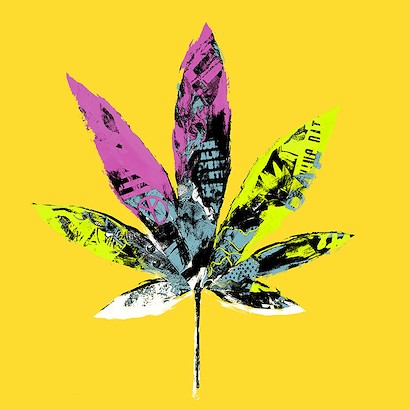 30 x 30 Miss Mary Jane VII (IBG)