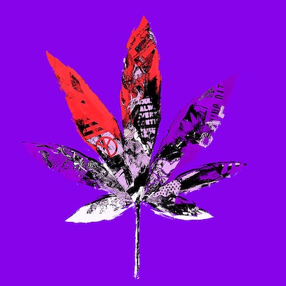 30 x 30 Miss Mary Jane IX (IBG)