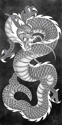 24 x 48 Dragon I (GS)