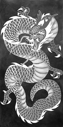 24 x 48 Dragon II (GS)