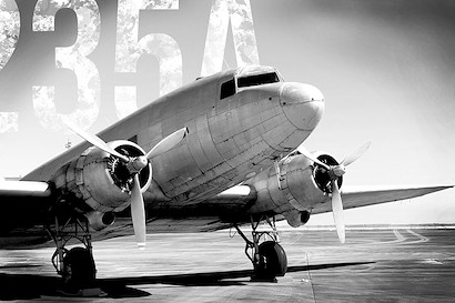 36 x 24 Iron Birds II (IBG)