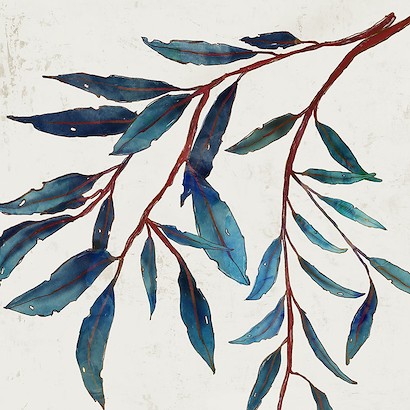40 x 40 Olive Branch (IBG)