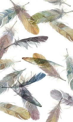 30 x 50 Watercolor Plumes (IBG)