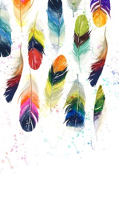 30 x 50 Bright Plumes (IBG)