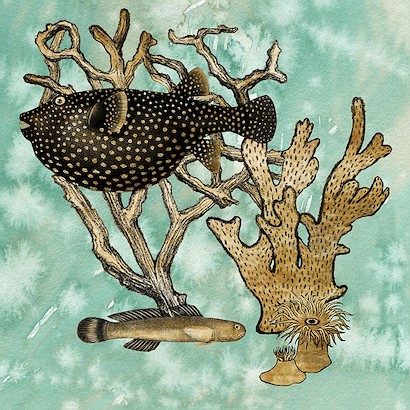 24 x 24 Ocean Dreaming II (IBG)