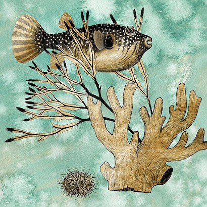 24 x 24 Ocean Dreaming III (IBG)