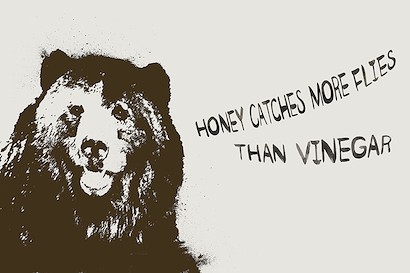 27 x 18 Honey Catches (IBG)