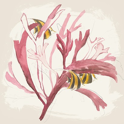 24 x 24 Aqua Life I (IBG)