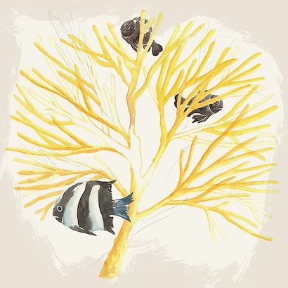 24 x 24 Aqua Life V (IBG)