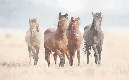 24 x 15 Slow Journey I (IBG)