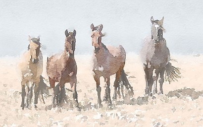 24 x 15 Slow Journey II (IBG)