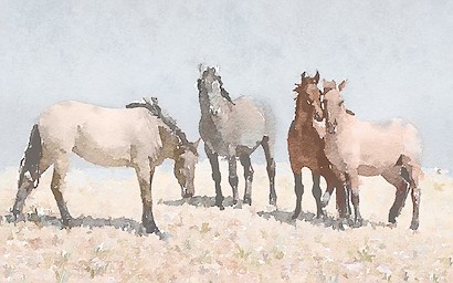 24 x 15 Slow Journey III (IBG)