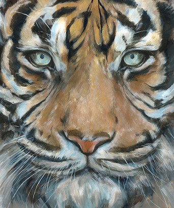 30 x 36 Wildcat I (IBG)