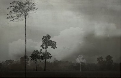 60 x 40 Serene Fog (IBG)