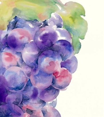 24 x 27 Summer Sweet I (IBG)