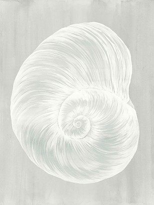 24 x 32 Sound of Shell VI (IBG)