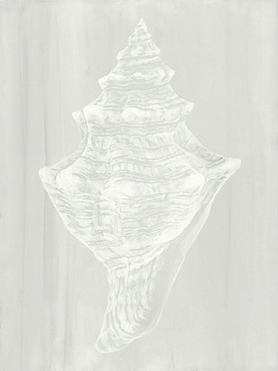 24 x 32 Sound of Shell VII (IBG)