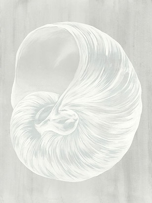 24 x 32 Sound of Shell VIII (IBG)
