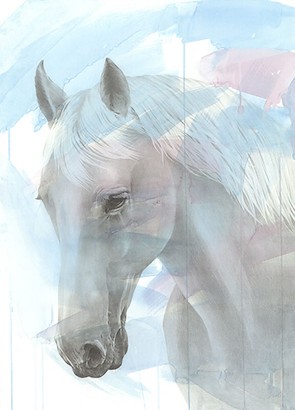 36 x 50 White Beauty in Blue (IBG)