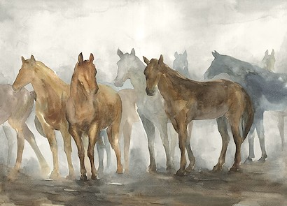 50 x 36 In the Wild Desert II (IBG)