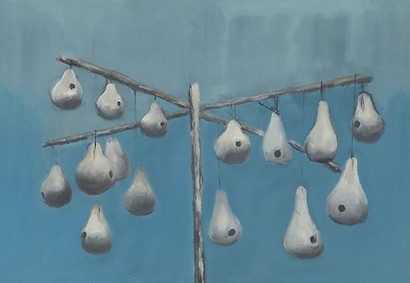 58 x 40 Drinking Gourds (IBG)