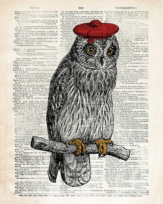 24 x 30 Hipster Owl (IBG)