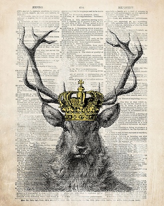 24 x 30 Hipster Deer (IBG)