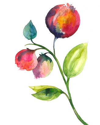 20 x 25 Dreams in Floral III (IBG)