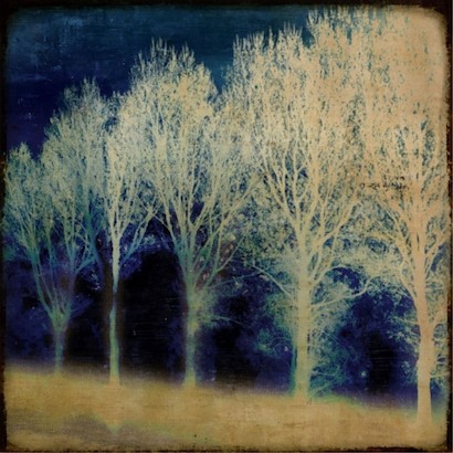 24 x 24 Indigo Path I (IBG)