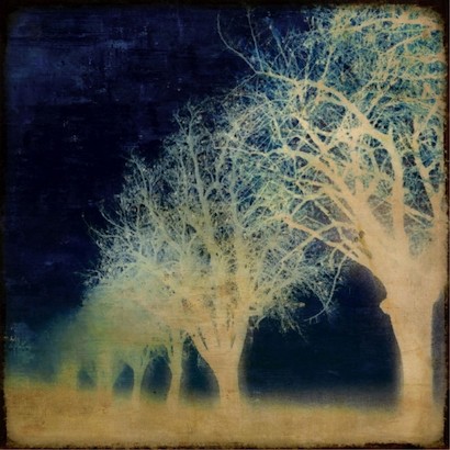 24 x 24 Indigo Path IV (IBG)