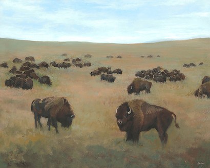 50 x 40 Bison Herd II (IBG)
