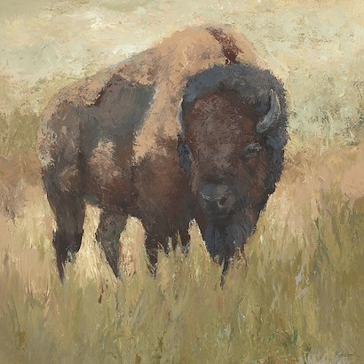40 x 40 Bison (IBG)
