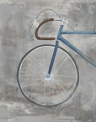 30 x 38 Single Speed Bike I (IBG)