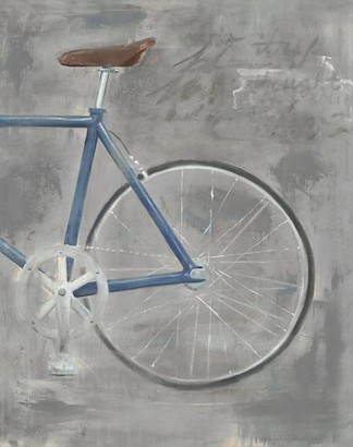 30 x 38 Single Speed Bike II (IBG)