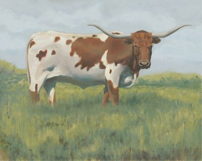 50 x 40 Texas long horn I (IBG)