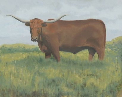 50 x 40 Texas long horn II (IBG)